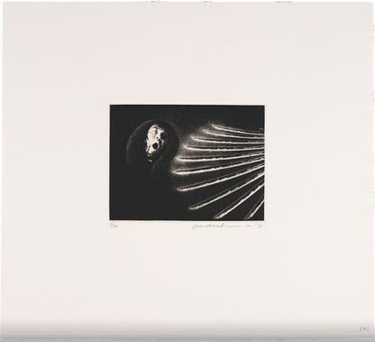 2001 Yukio Hideshima Japan Copperplate etching Spring Castle Martyrdom 12 prints