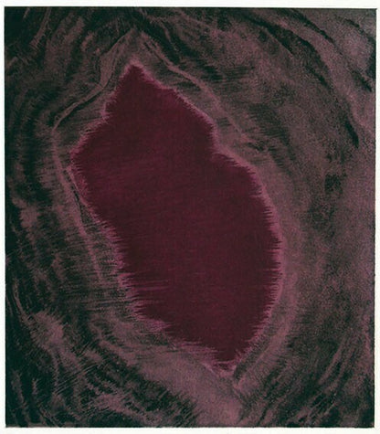 Anish Kapoor (British) Original Etching Signed Numbered -Blackness From Her Womb