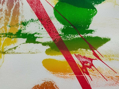Paul Jenkins (Ny 1923-2012) Signed Original Lithograph Framed Abstract Art Print