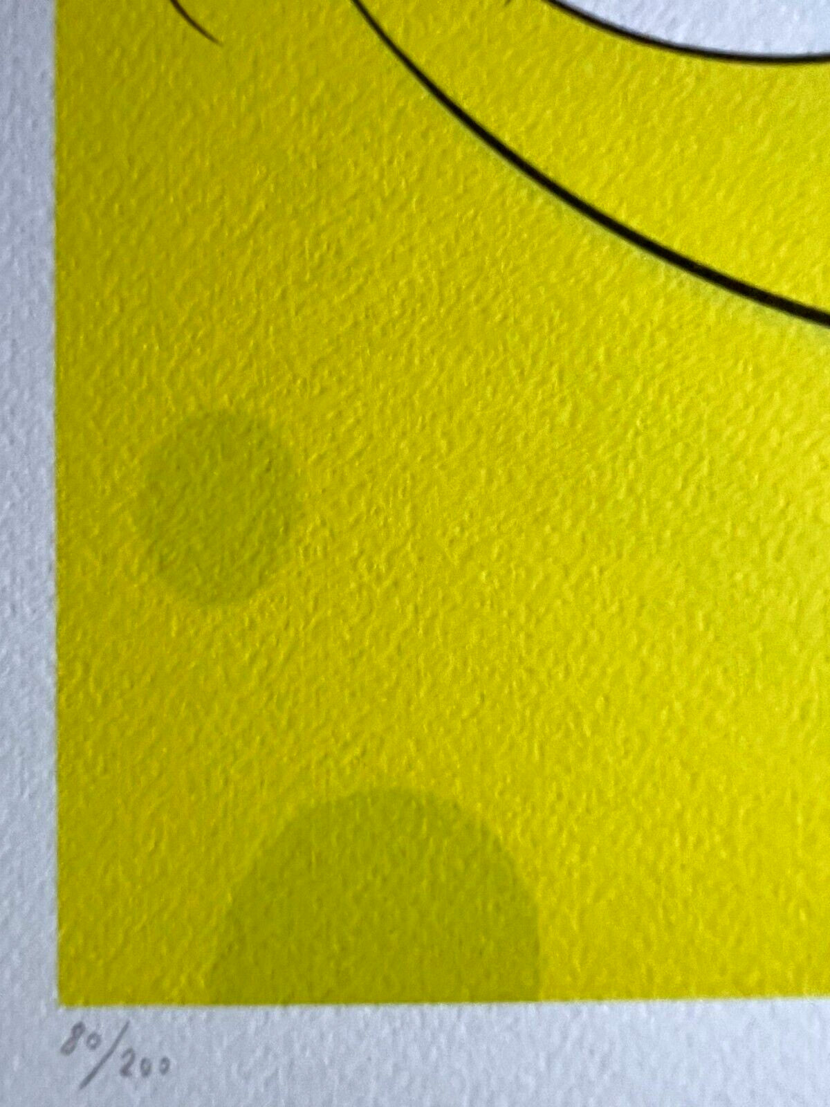 Kaws / Lithograph Coa Limited Edition 200 Es. Mori Art Museum