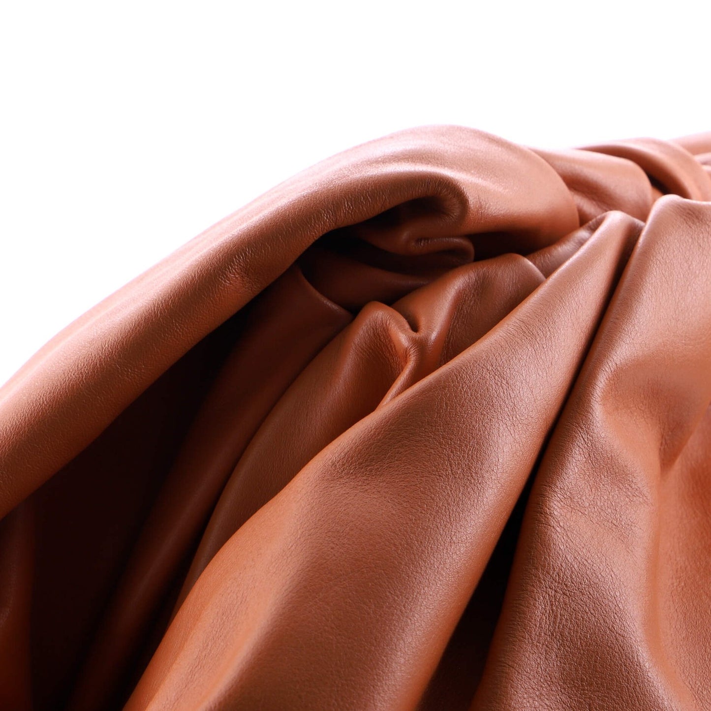 Bottega Veneta The Pouch Leather Teen