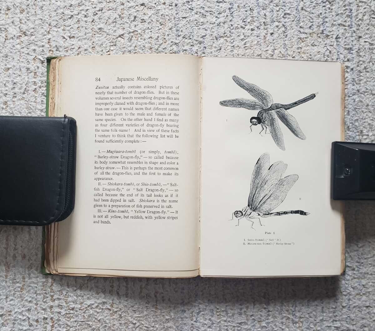 1901 Lafcadio Hearn Japan An Attempt At Interpretation 1St Hardcover English