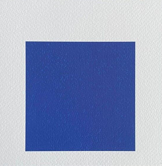 Josef Albers Lithograph Coa Numbered Signed Op - Le Corbusier