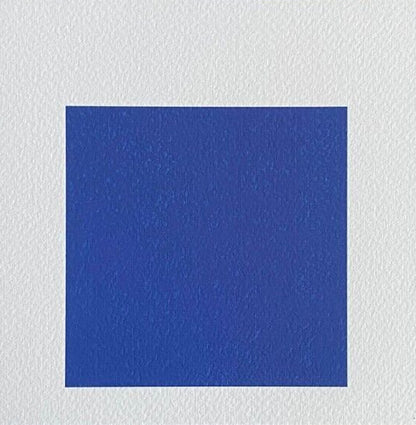 Josef Albers Lithograph Coa Numbered Signed Op - Le Corbusier