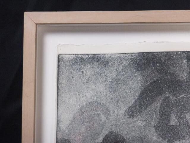 Mary Frank (Uk) Original Monoprint On Wove Signed In Pencil "Flowers Ii" 1984