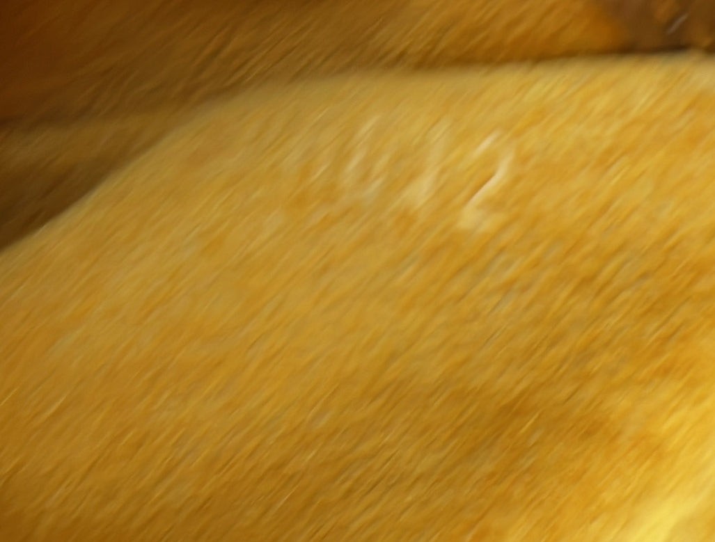 Louis Vuitton Musette Tango Handbag Monogram Canvas