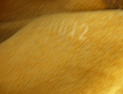 Louis Vuitton Musette Tango Handbag Monogram Canvas