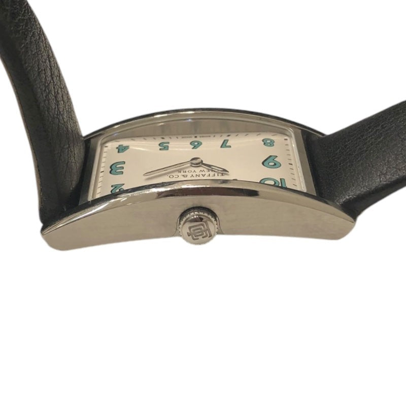 Tiffany&Co East West Mini 60557985