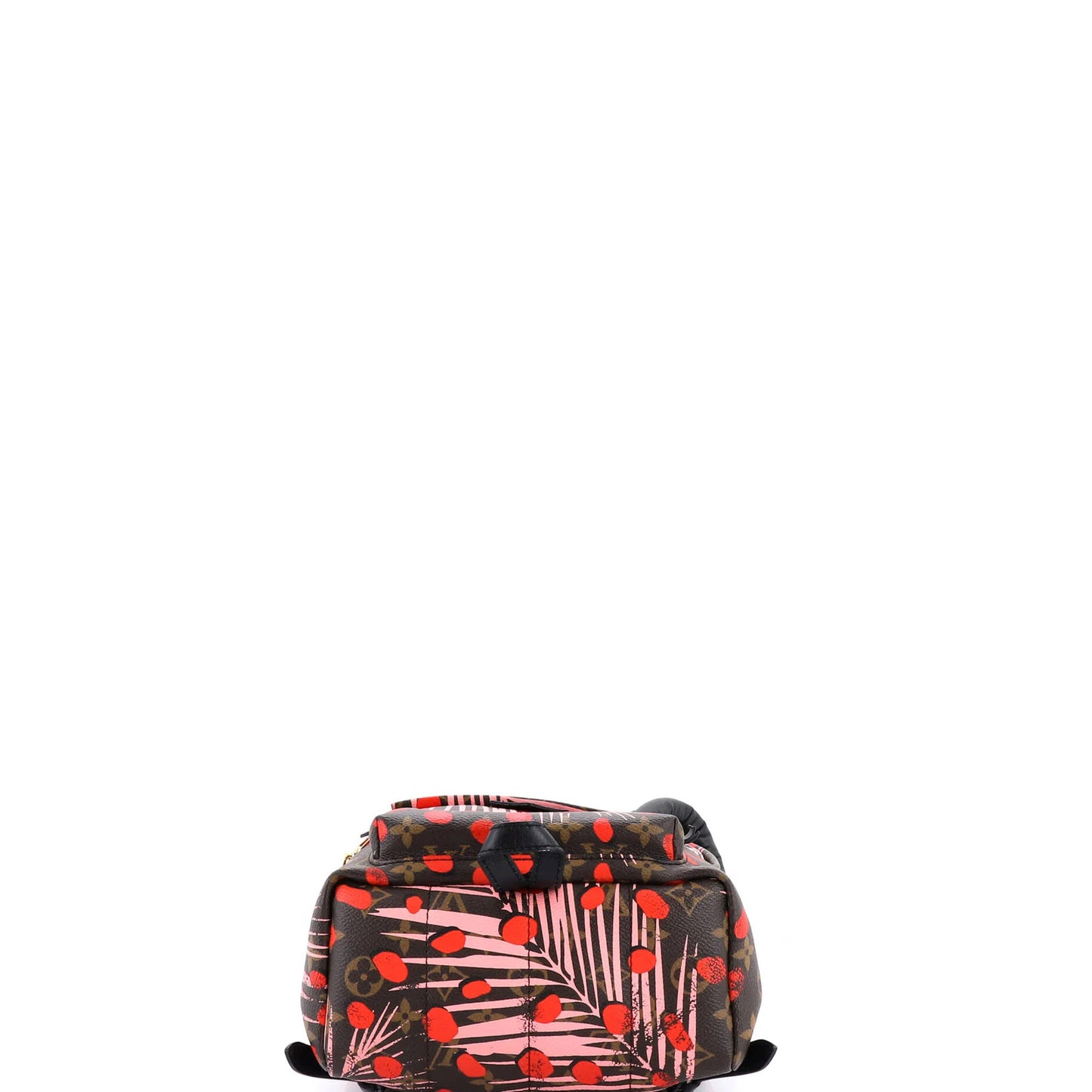 Louis Vuitton Palm Springs Backpack Limited Edition Monogram Jungle Dots Pm