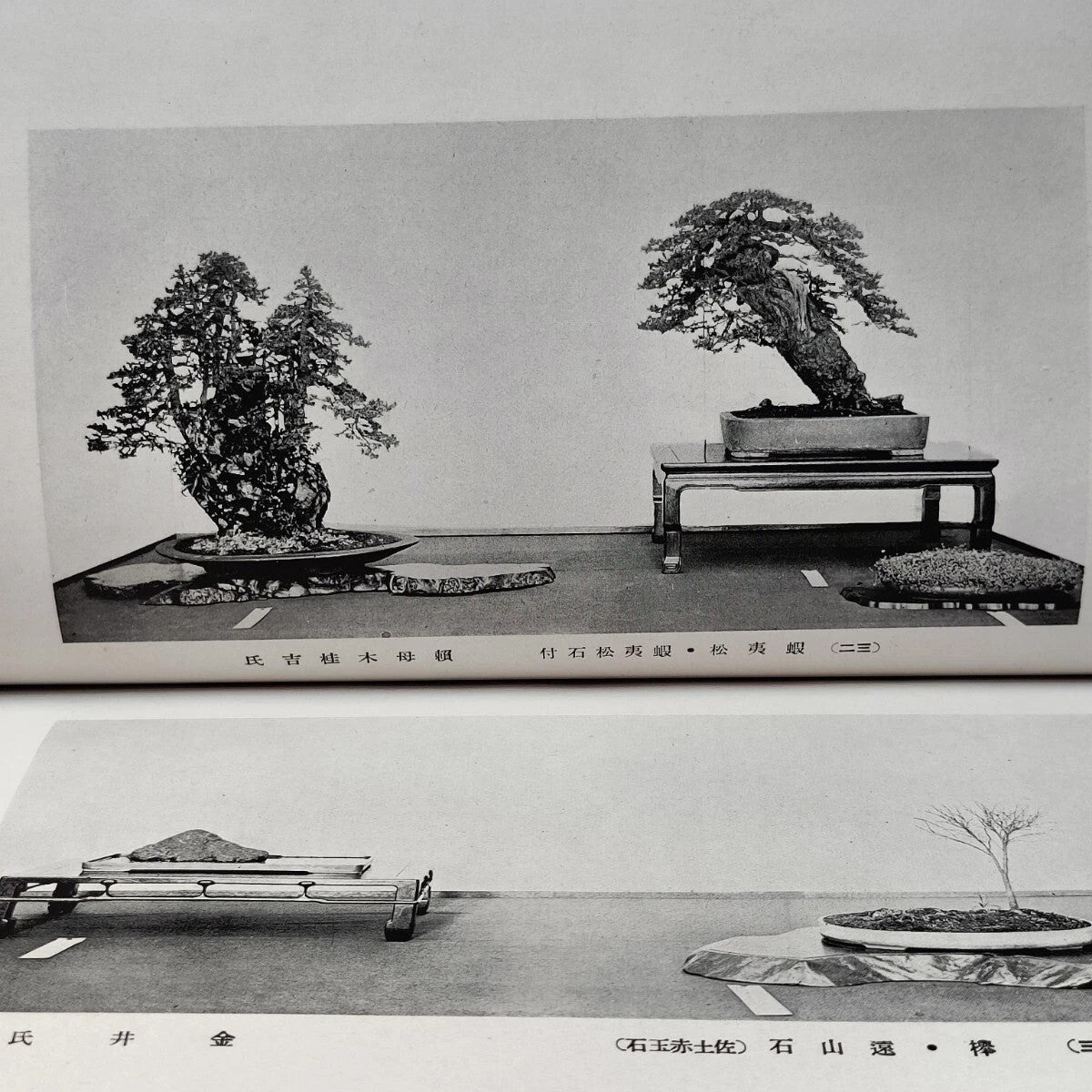 Kokufu Bonsai Ten 3rd Exhibition Catalogue Most Famous Bonsai Show