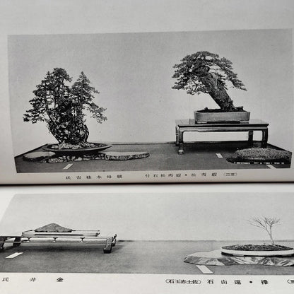 Kokufu Bonsai Ten 3rd Exhibition Catalogue Most Famous Bonsai Show