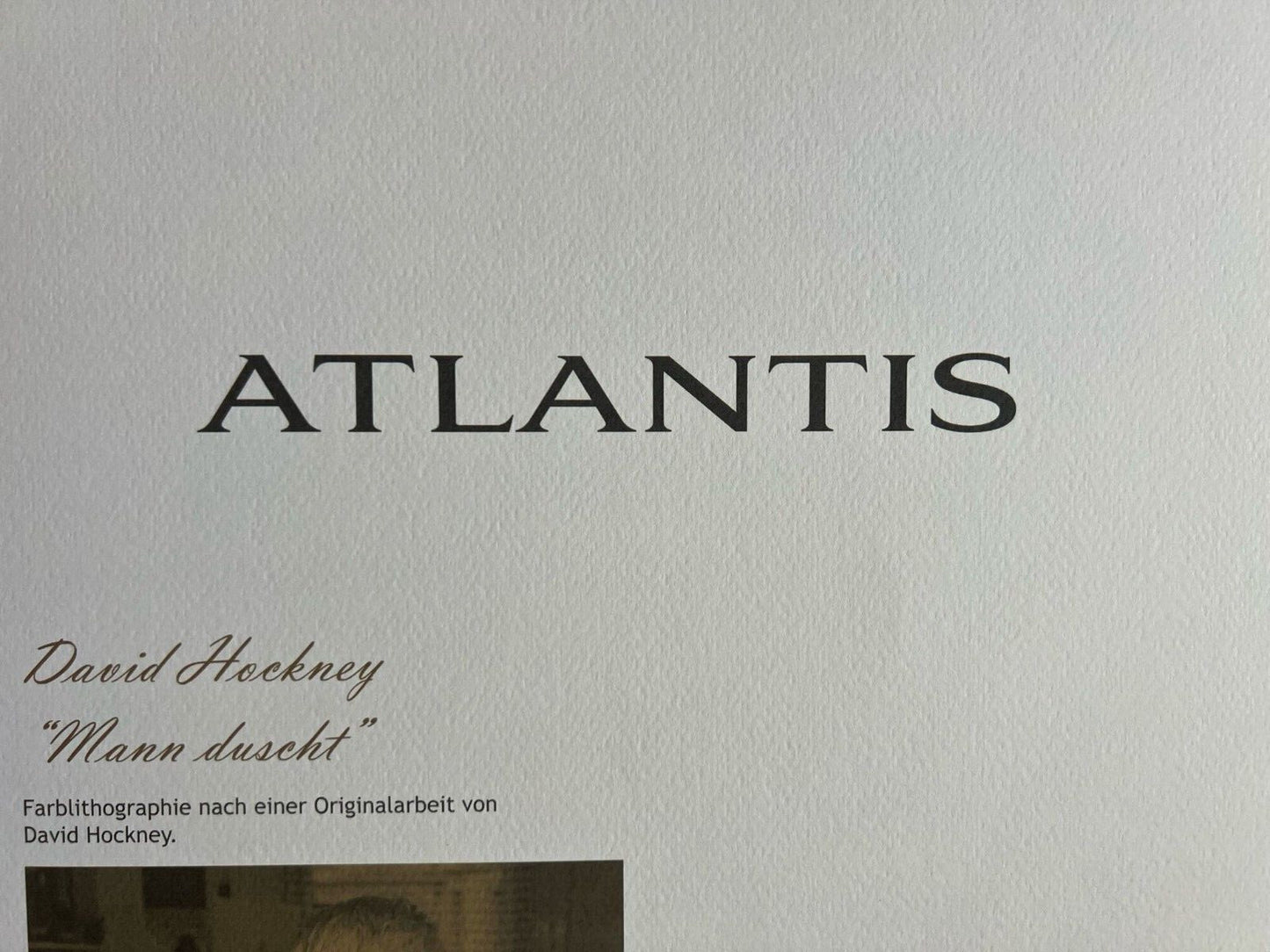 David Hockney Lithograph Coa Signed In Pen