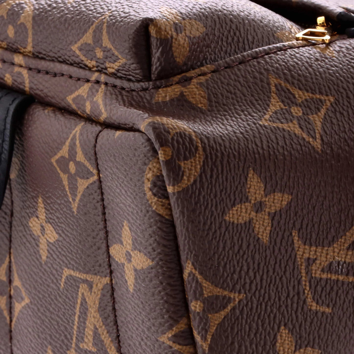 Louis Vuitton Palm Springs Backpack Monogram Canvas Mini
