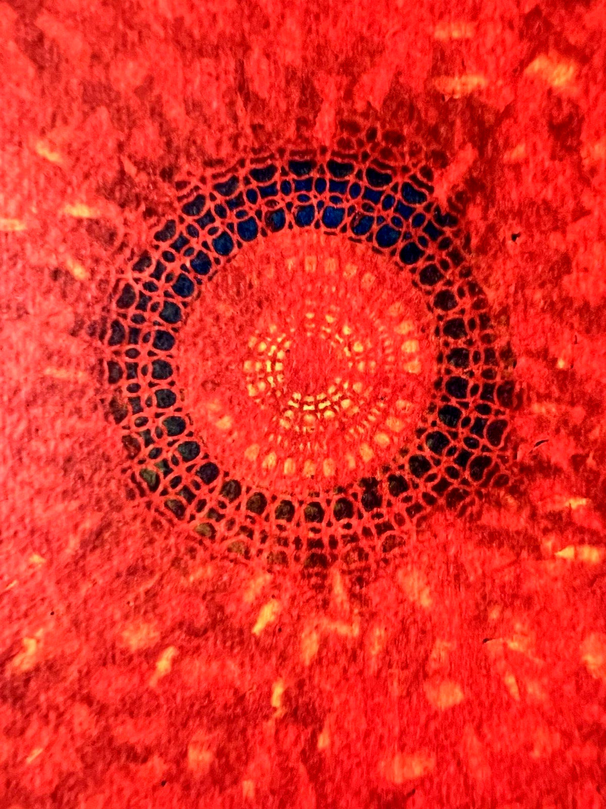 Max Ernst Lithograph Coa Signed Op Numbered By Hand (Dal)