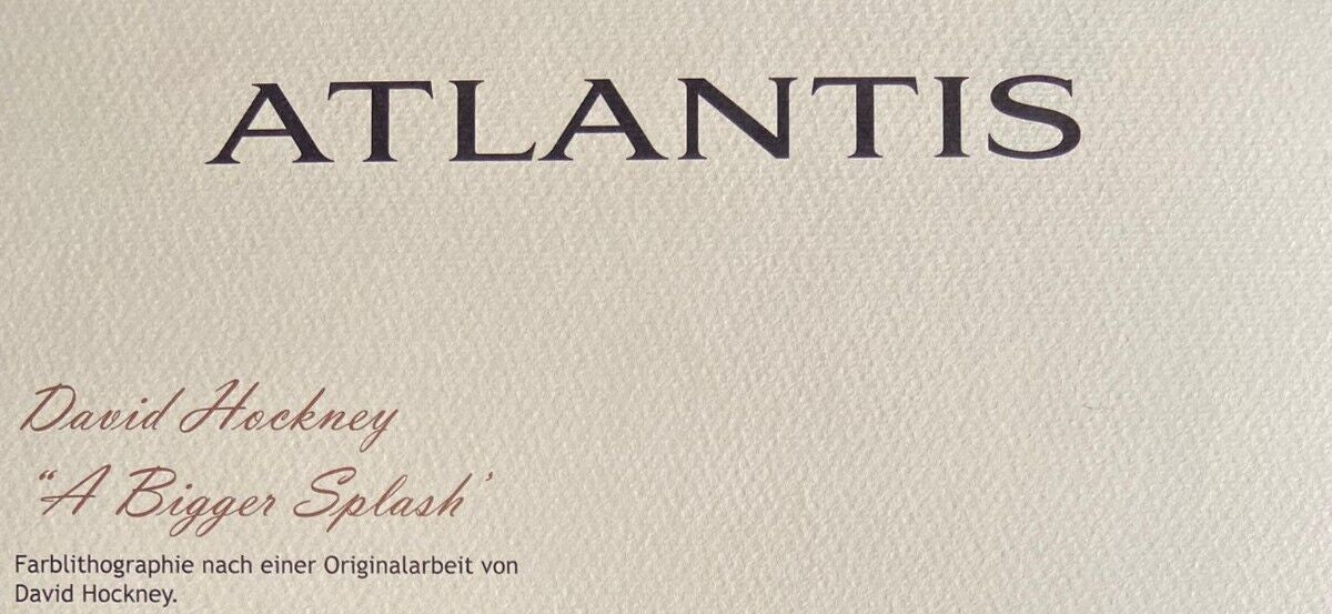 David Hockney Lithograph Coa Signed In Pen Numbered In Pencil