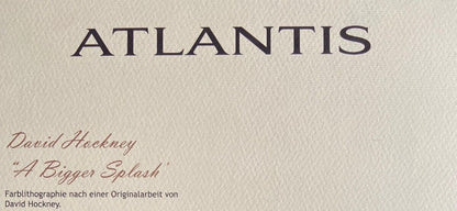 David Hockney Lithograph Coa Signed In Pen Numbered In Pencil