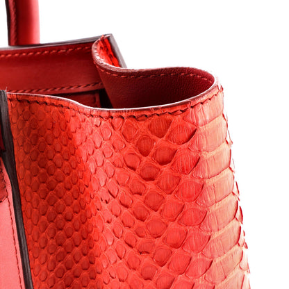 Celine Luggage Bag Python Micro