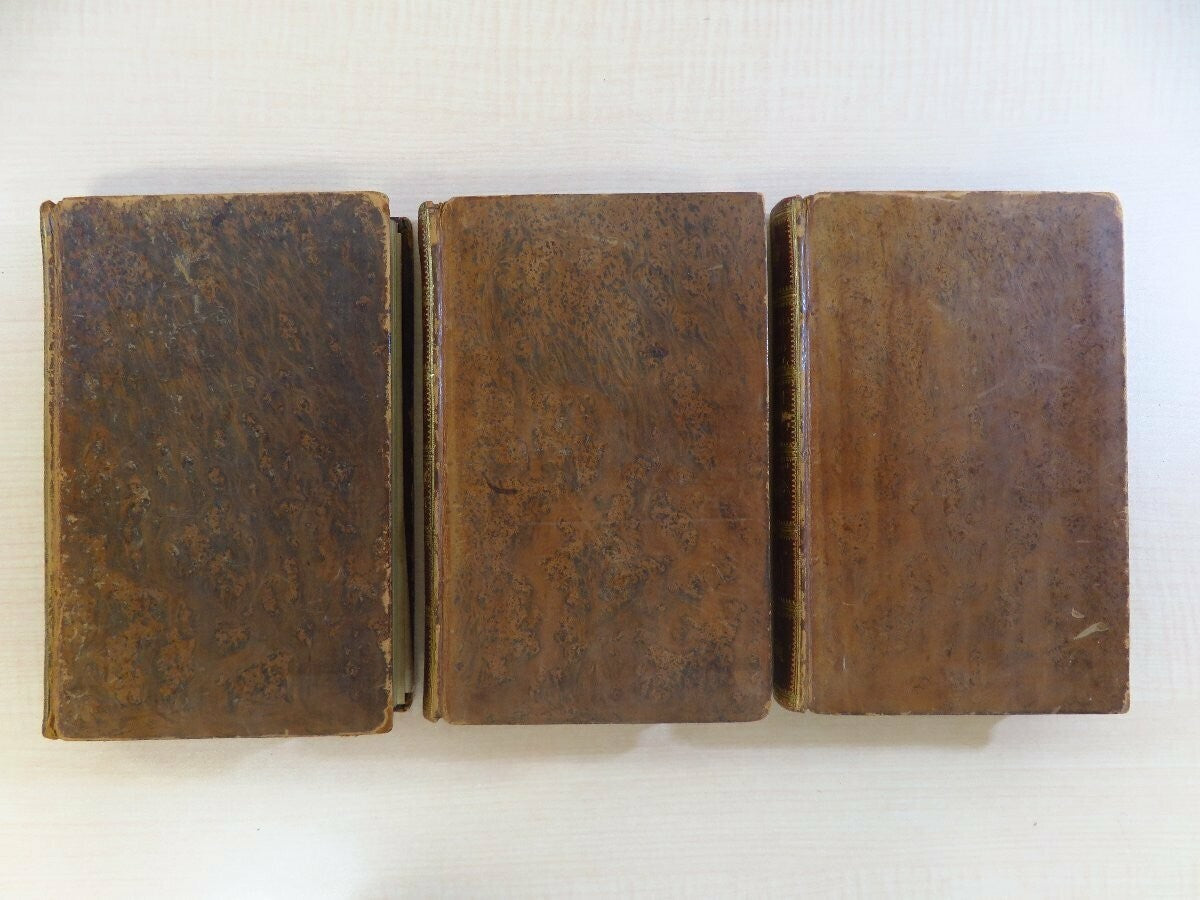 Travels in Upper and Lower Egypt 1799 London - Charles Nicolas Sigisbert Sonnini