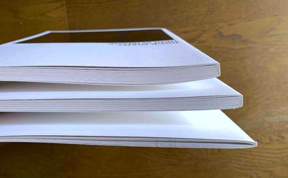 Saint Laurent Celine Box Rock Slimane Hedi Diary 2008 Photography