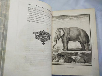 1754 Buffon Histoire Naturelle Vol 11 First Ed Elephant Rhino Camel 42 Plates