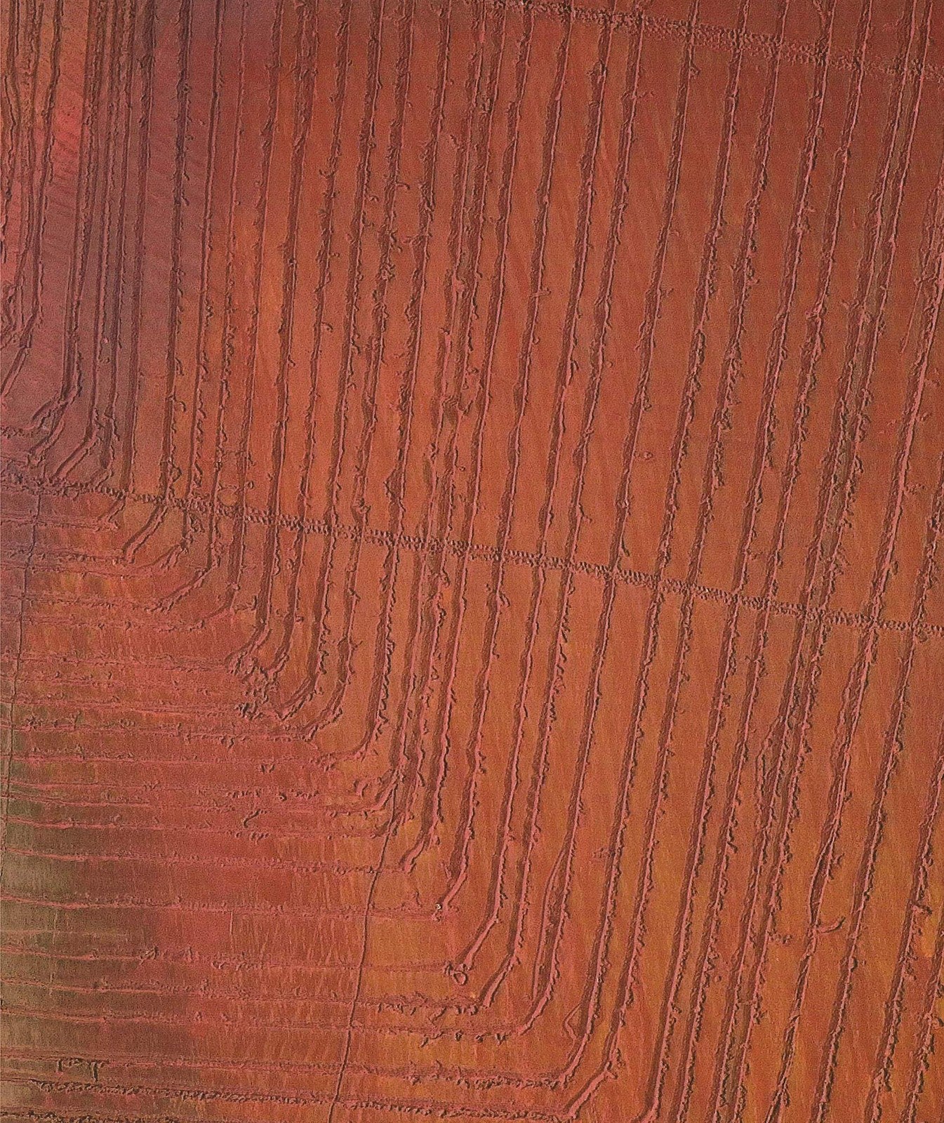 Arnulf Rainer Roland Garros French Open " Poster Abstract Brow