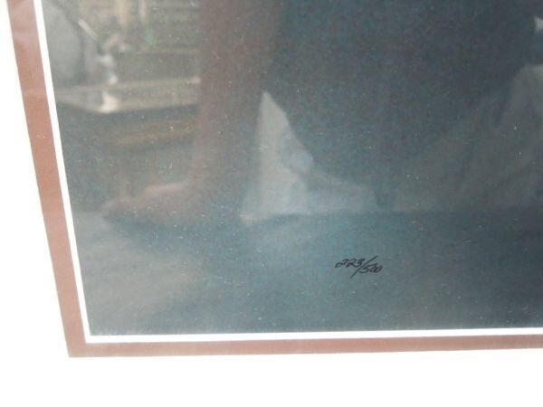 Thomas Mangelsen "Bald Eagle" Signed Original