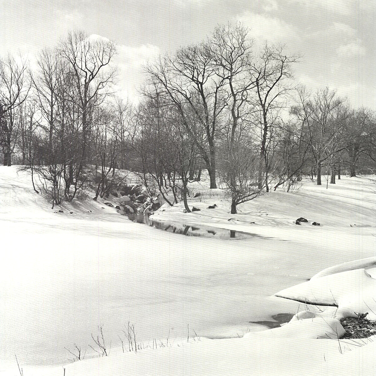Joel Greenberg Central Park " Offset Lithograph Contemporary