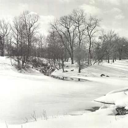 Joel Greenberg Central Park " Offset Lithograph Contemporary