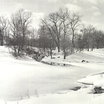 Joel Greenberg Central Park 