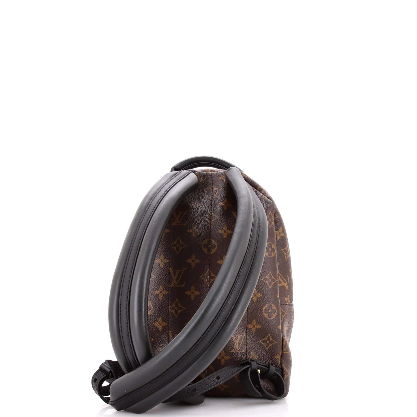 Louis Vuitton Palm Springs Backpack Monogram Canvas Pm