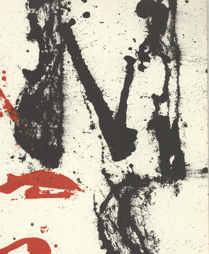 Pierre Fernandez Arman Amnesty International Signed " Lithograph 1