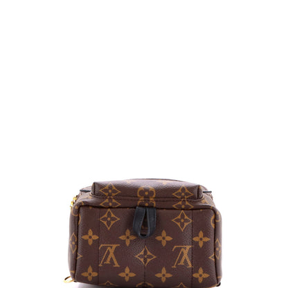 Louis Vuitton Palm Springs Backpack Monogram Canvas Mini
