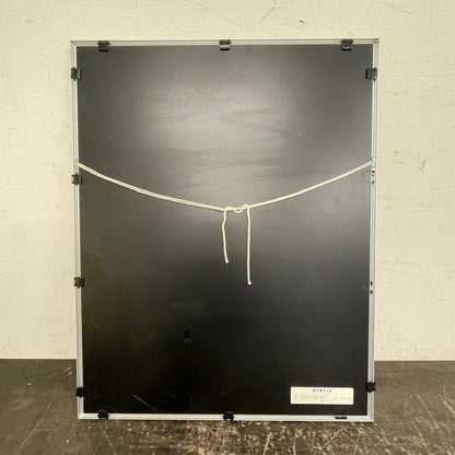 Kirsty Wither Signed Original Lithograph Print Framed "Still Life Flower"