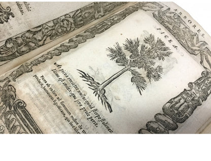 Andrea Alciati - Emblemata 16Th Century Coat Of