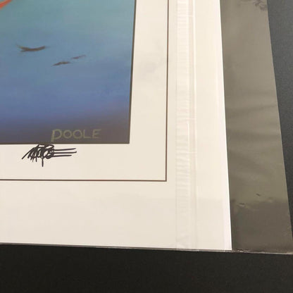 Birds Of Paradise Mtg Mark Poole Magic The Gathering Art Print