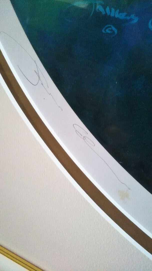 James Coleman - Reflections Ed250 Original Lithograph Print Signed Framed