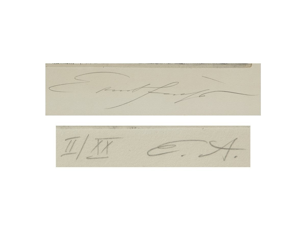 Ernst Fuchs Birth Of Venus Etching, Signed, Very Rare Ed.20, Fantastic Realism