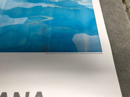 David Hockney Pool And Steps " Poster Pop Art Red Blue Green