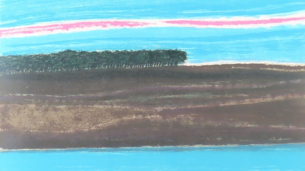 Andre Brasilier Signed Original Lithograph Print
