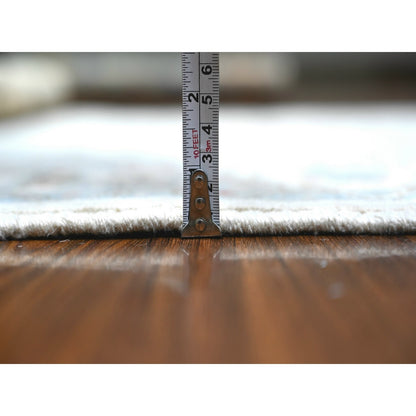 4'X5'10" Gray Fine Aryana Bidjar Garus Design Runner Oriental Rug