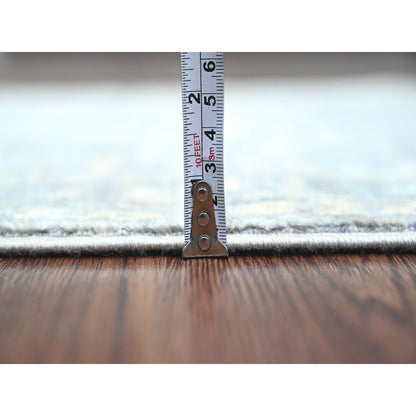 2'9"X5'6" Gray Peshawar Ziegler Mahal Design Wool Hand Knotted Runner Rug