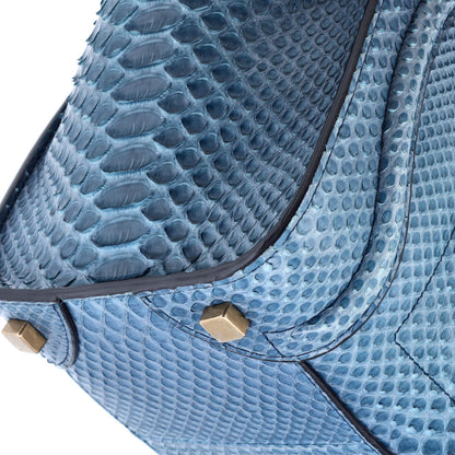 Celine Luggage Bag Python Micro