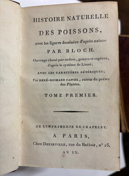 Bloch Marcus Elieser "Histoire Naturelle Des