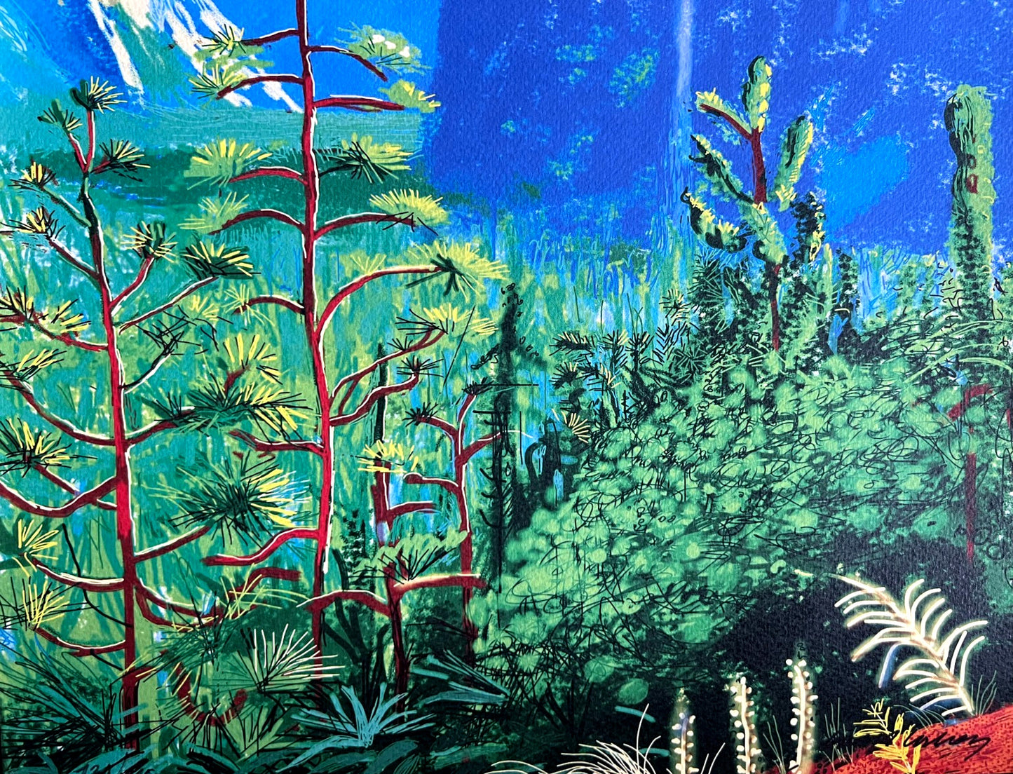 David Hockney Lithograph Coa Signed Op Hand Numbered Limited