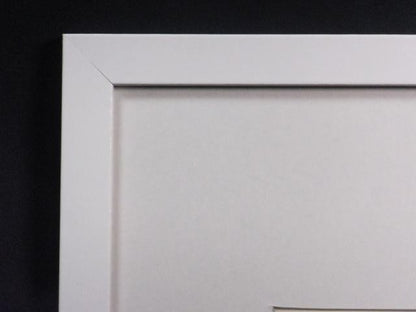 Veronika Paleckova "Cancer" Signed Color Etching Limited 50 Zodiac Art Framed