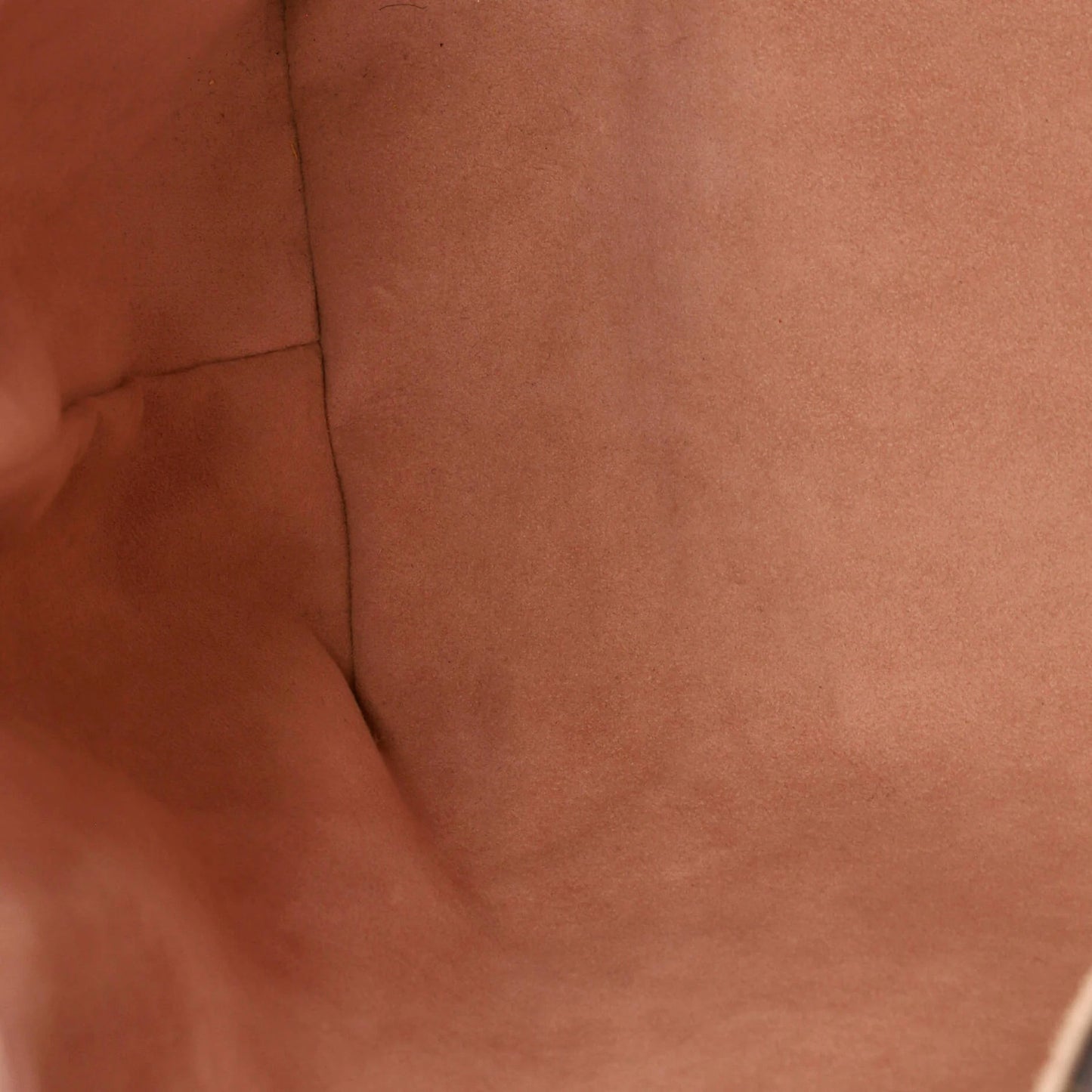 Louis Vuitton Caissa Hobo Damier With Leather