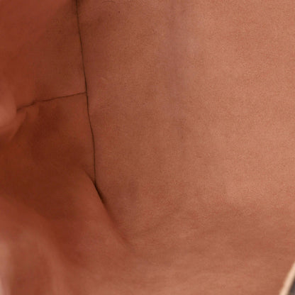 Louis Vuitton Caissa Hobo Damier With Leather