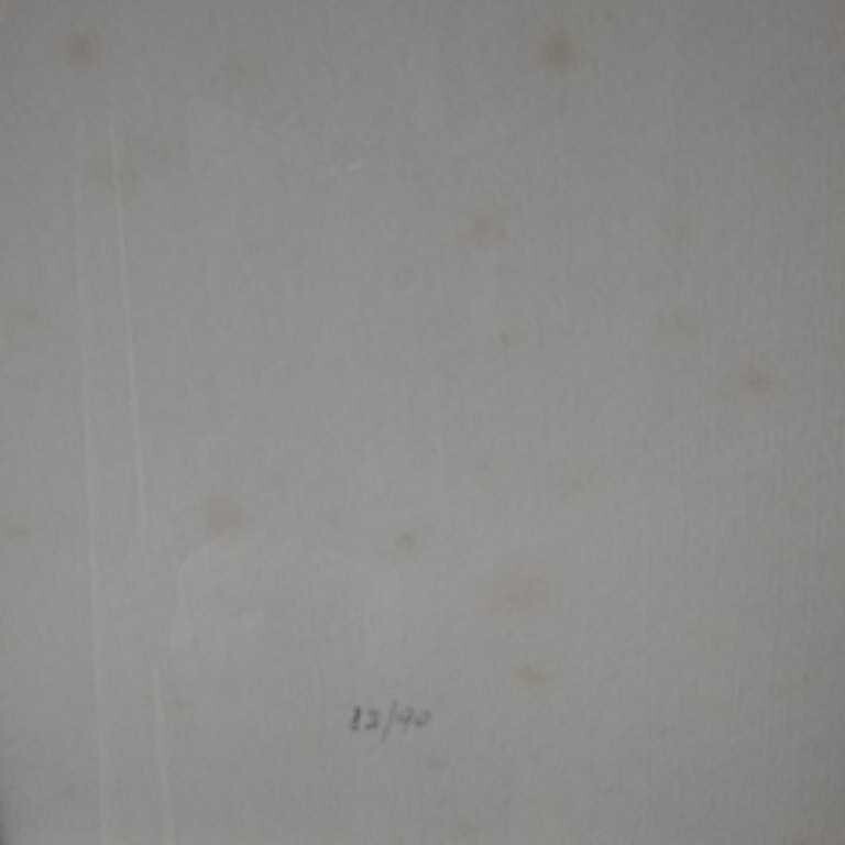 Amleto Dalla Costa Pencil Signed Original Silkscreen Serigraph Framed