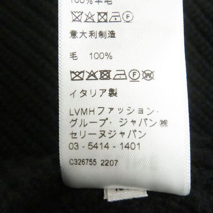 Celine Hoodie Main